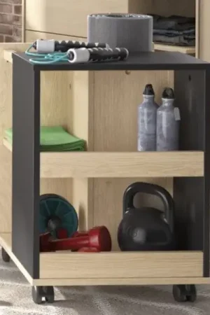 Opbergtrolley Duplex | 45 x 45 x 60 cm | Châtaignier-design Fabrieksprijs