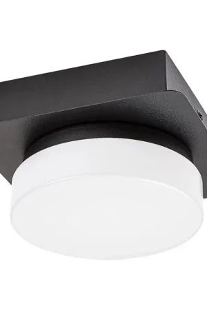 Actieprijs Rabalux - LED Plafondverlichting badkamer LED/5W/230V IP44 4000K zwart