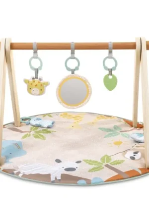 Ingenuity - Babyspeelmat WONDER & WOOD Finale Uitverkoop
