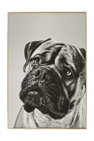 Ingelijste fotografie 'Puppy Eyes' 40x60cm Aanbieding