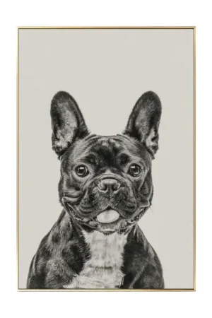 Ingelijste fotografie 'Everybody's Darling' 40x60cm Actieprijs