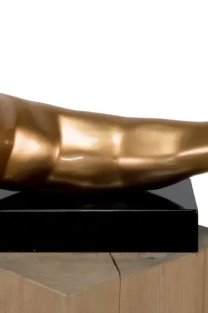 Sculptuur 'Explosion of Taste' 48x55x17cm Koop Online