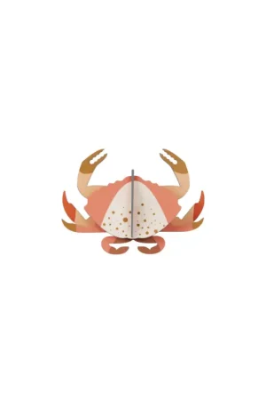 Lage Kosten Hangende Decoratie 'Crab Mobile'