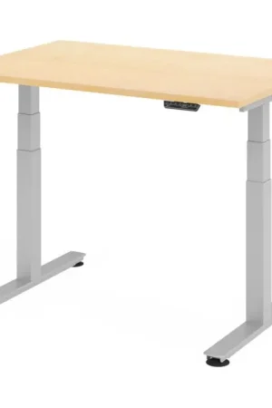 Beperkt Aanbod XDSM 12 S | 120x80 | Bureau elektrisch in hoogte verstelbaar