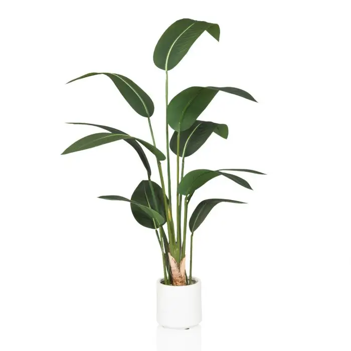 STRELITZIA - Kunstplant Groen Express Levering